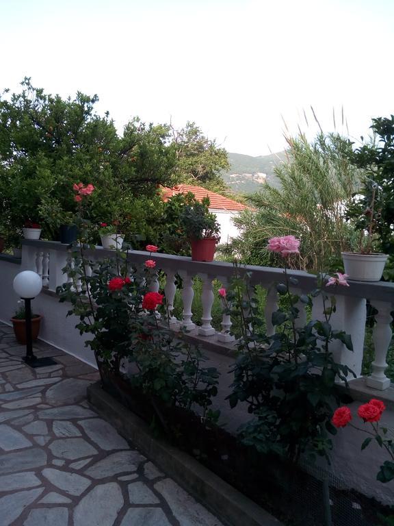 Sofia'S Garden Studios Σκόπελος Εξωτερικό φωτογραφία