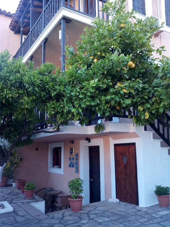 Sofia'S Garden Studios Σκόπελος Εξωτερικό φωτογραφία