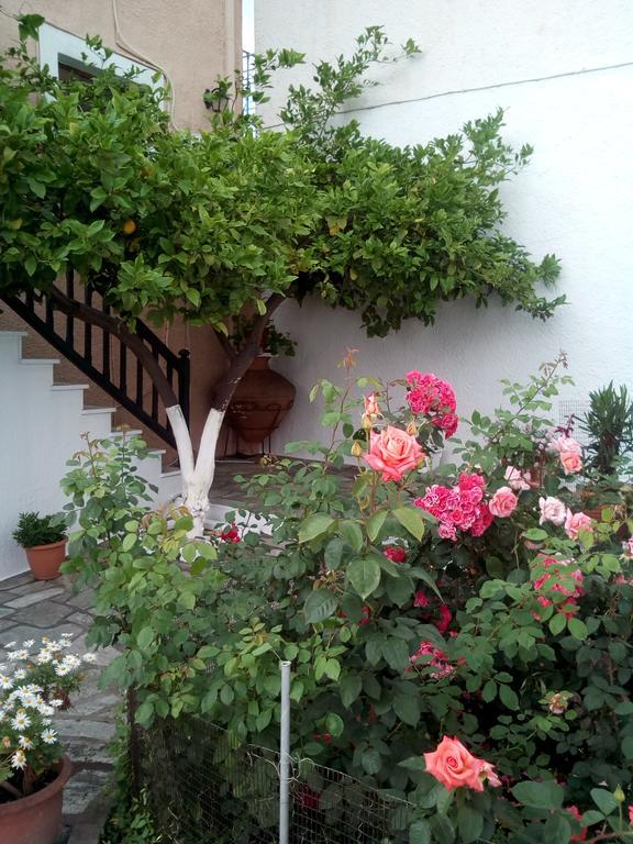 Sofia'S Garden Studios Σκόπελος Εξωτερικό φωτογραφία