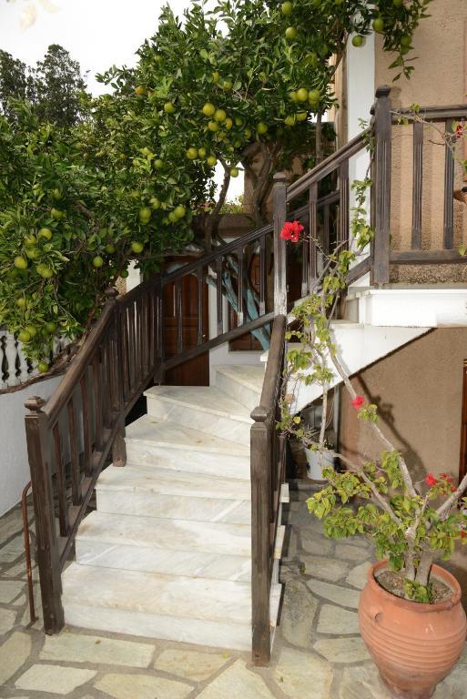 Sofia'S Garden Studios Σκόπελος Εξωτερικό φωτογραφία